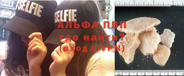прущие грибы Ступино