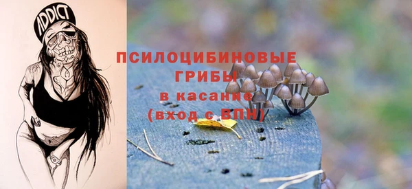 МДПВ Белокуриха