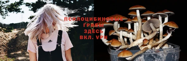 прущие крисы Беломорск