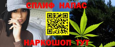 сатива Можга