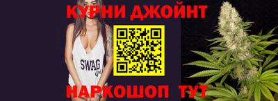 сатива Можга