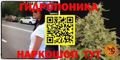гидропоника Можайск