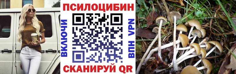 Псилоцибиновые грибы Psilocybe  где можно купить наркотик  MEGA вход  нарко площадка Telegram  Бугульма 