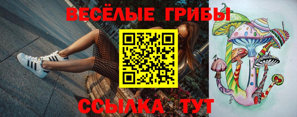 Псилоцибиновые грибы прущие грибы Бугульма