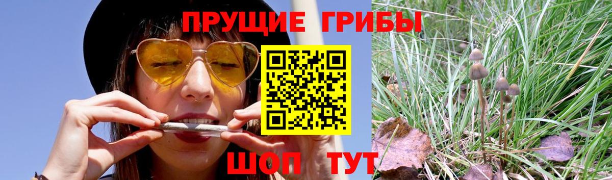 Галлюциногенные грибы мухоморы  Вход с VPN  Галлюциногенные грибы мухоморы  Бугульма 